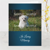 De Maltese poedel in grasfoto | personaliseert Kaart (Gele Bloem)
