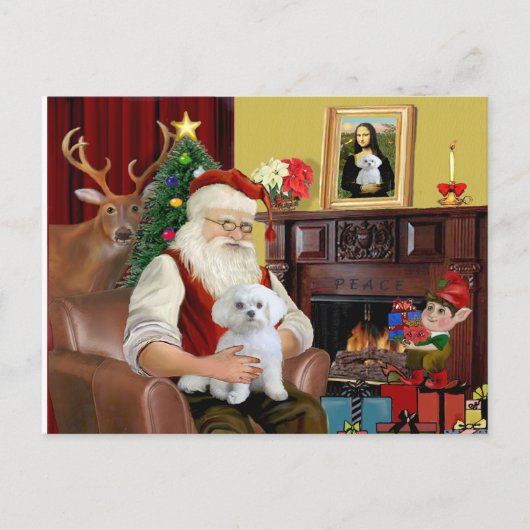 De Maltese van Sinterklaas Feestdagenkaart (Voorkant)