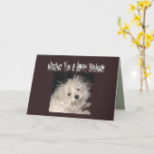 De Maltese Verjaardag van de Humor wenst Kaart (Gele Bloem)