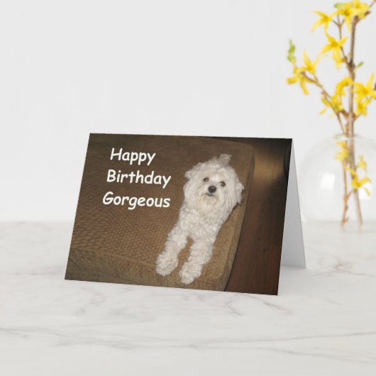 De Maltese Wensen van de Verjaardag voor Haar Kaart (Gele Bloem)