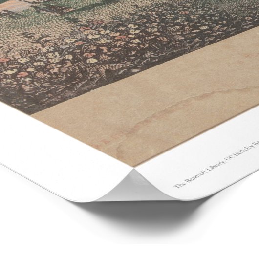 De Mammoth Trees van Californië (1191) Poster (Hoek)