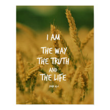 De manier waarop de waarheid de levensBijbel verdr