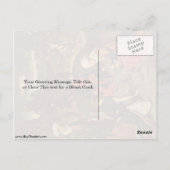 De manna-oogst door Bouts Dieric Briefkaart (Achterkant)