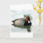 De Mannetjeseend van de roodharige (zonder titel) Kaart (Gele Bloem)