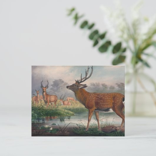 De Mantchurian Deer van Joseph Wolf Briefkaart (Staand voorkant)