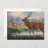 De Mantchurian Deer van Joseph Wolf Briefkaart (Voorkant / Achterkant)