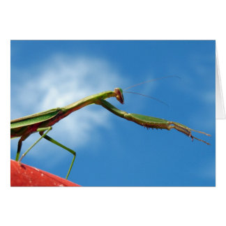 De Mantis