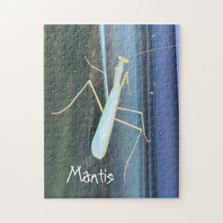 De Mantis Legpuzzel