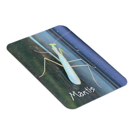 De Mantis Magneet (Rechterzijde)
