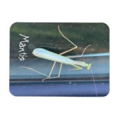 De Mantis Magneet (Horizontaal)