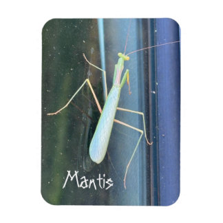 De Mantis Magneet