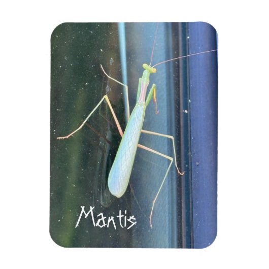 De Mantis Magneet (Verticaal)