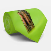 De Mantis van JC Findley Stropdas (Opgerold)
