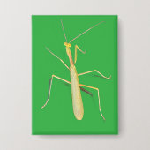 De Mantis, Vierkant Button (Voorkant)