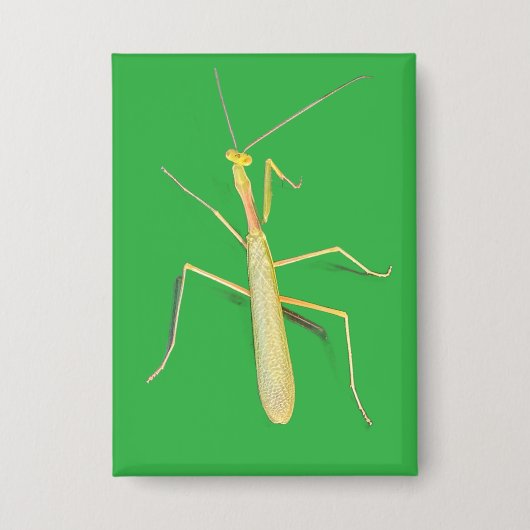 De Mantis, Vierkant Button (Voorkant)