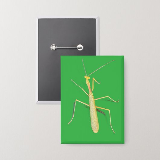 De Mantis, Vierkant Button (Voorkant / Achterkant)