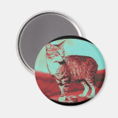 de Manx Cat Magneet (Voorkant / Achterkant)