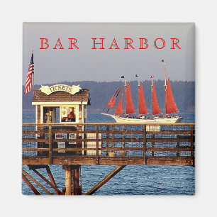 De Margaret Todd Magneet