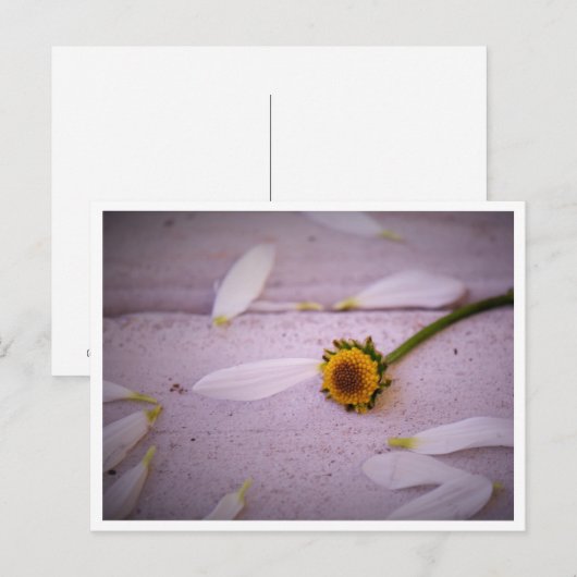 "De Margaret zei: JA!" briefkaart (Voorkant / Achterkant)