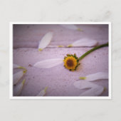 "De Margaret zei: JA!" briefkaart (Voorkant)