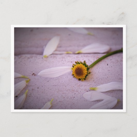 "De Margaret zei: JA!" briefkaart (Voorkant)