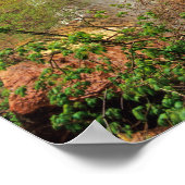 De marinepools volgen in Zion National Poster (Hoek)