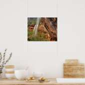 De marinepools volgen in Zion National Poster (Keuken)