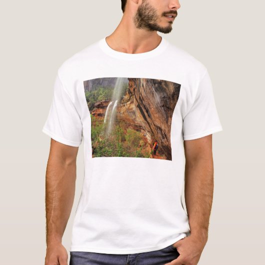 De marinepools volgen in Zion National T-shirt (Voorkant)