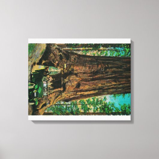 De Mariposa Big Tree Grove, Yosemite Canvas Afdruk (Voorkant)