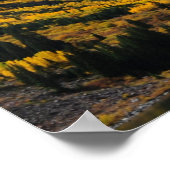 De maroon Bells in het herfst van Gold Poster (Hoek)