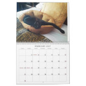 De Marshalls 2026 Agenda Kalender (Feb 2027)
