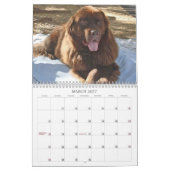 De Marshalls 2026 Agenda Kalender (Mar 2027)