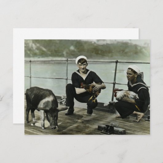 De Mascots  WWII Sailor Rooster Pig Briefkaart (Voorkant / Achterkant)