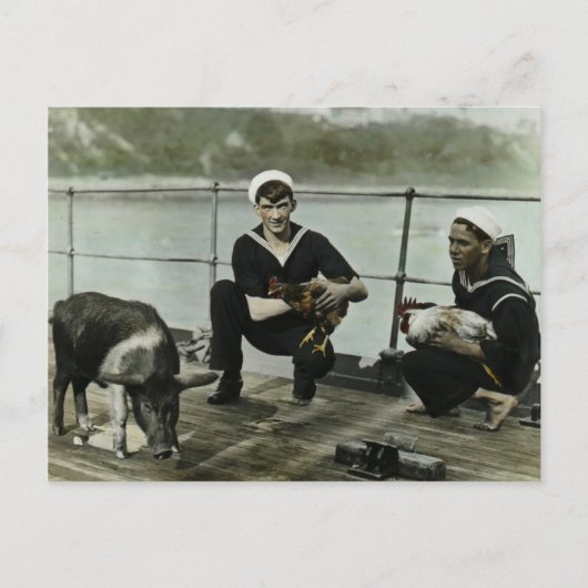 De Mascots WWII Sailor Rooster Pig Briefkaart (Voorkant)
