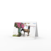 de Mascotte Opa van de Ezel van