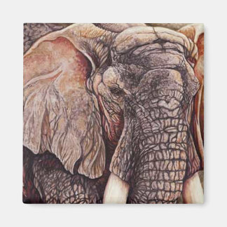 De matriarch - Afrikaanse olifant Magneet