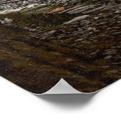 De Matterhorn in de Zwitserse Alpen Poster (Hoek)