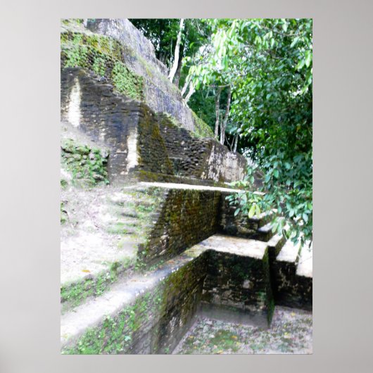 De Mayaanse hoek Poster (Voorkant)