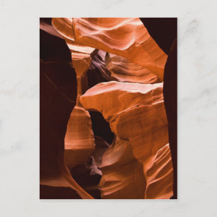 De Maze-Postcarcopie Briefkaart