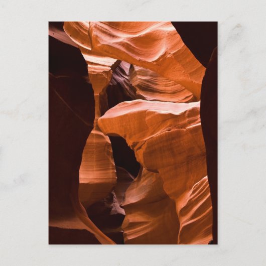 De Maze-Postcarcopie Briefkaart (Voorkant)