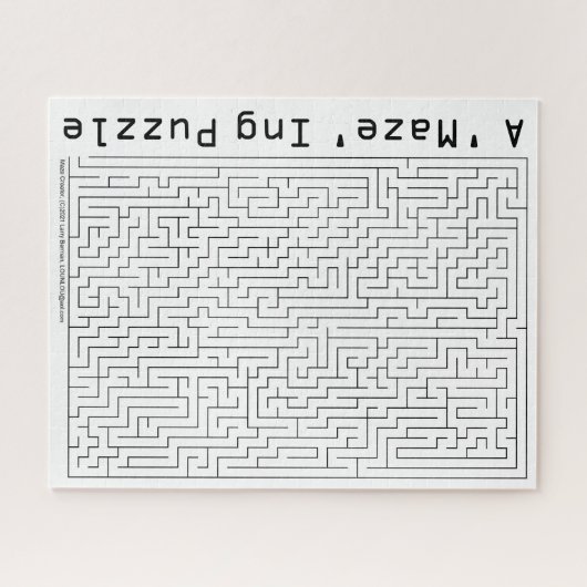 De "Maze"-puzzel Legpuzzel (Horizontaal)