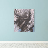 De McMurdo Dry Valleys Canvas Afdruk (Insitu (Houten vloer))