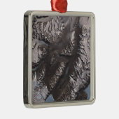 De McMurdo Dry Valleys Metalen Ornament (Rechts)