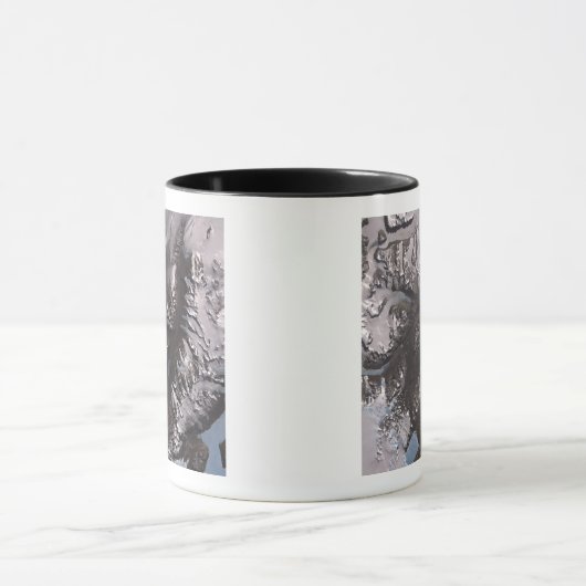 De McMurdo Dry Valleys Mok (Midden)