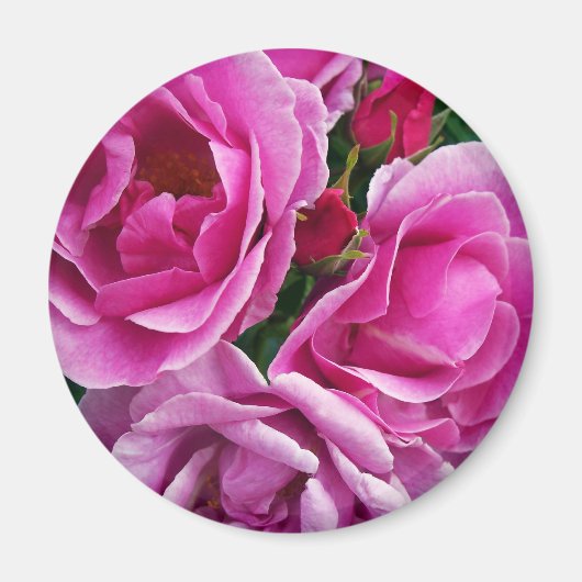 De mededogende vriend magneet (Voorkant)