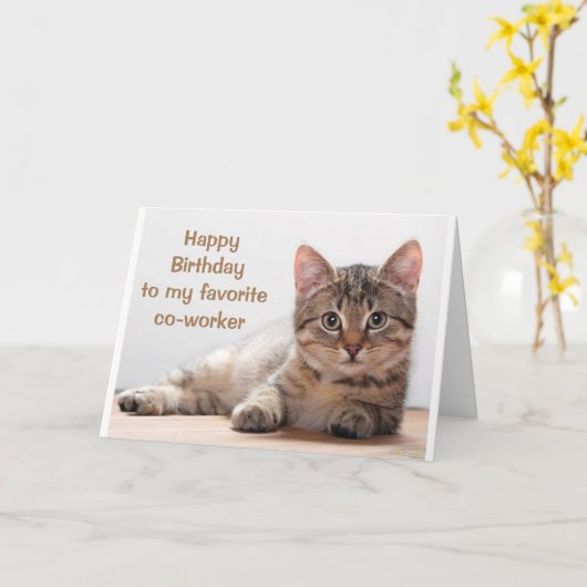 **DE MEDEWERKER VAN DE KAT-VERLIES** KAART (Gele Bloem)