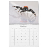 De meest gekneusde spinnen kalender (Mar 2027)