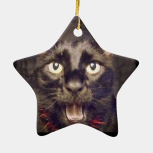 De meest handige Star-versiering Keramisch Ornament (Achterkant)