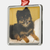 De meest pommerse metalen ornament (Links)