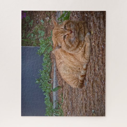 De Meester van het Zonnige Pad Legpuzzel (Verticaal)